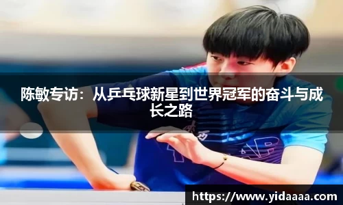 yy易游
