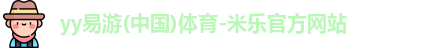 yy易游